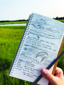 Them That’s Doin’: Sketching on a Solo Hike Image